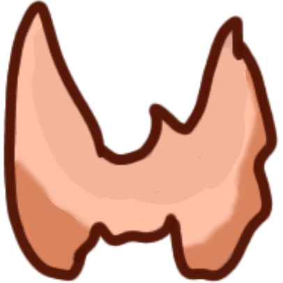 A thyroid